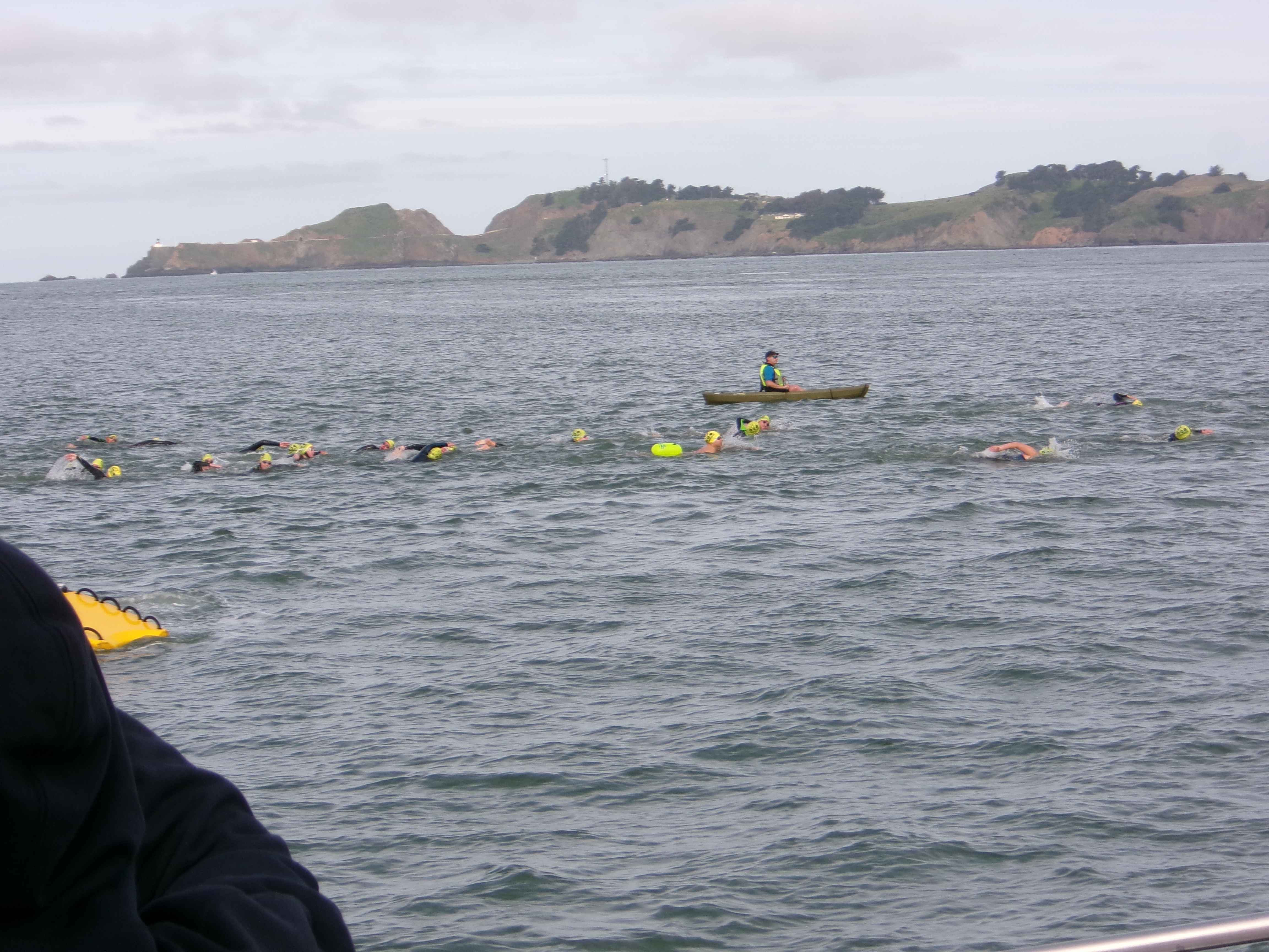 alcaltraz swimmers